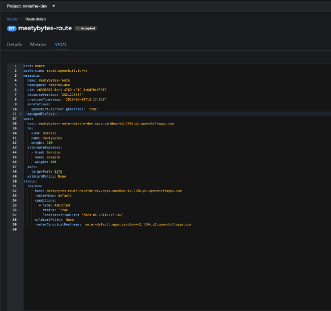 YAML of created route meatybytes-route